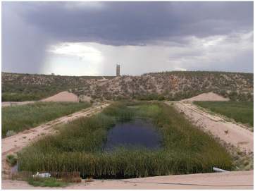 The Wetlands